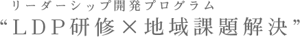 リーダーシップ開発プログラム “LDP研修×地域課題解決