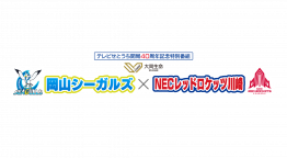 テレビせとうち開局40周年記念 ＳＶリーグ岡山シーガルズ×ＮＥＣレッドロケッツ川崎